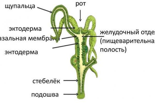 Почему не работает блэкспрут