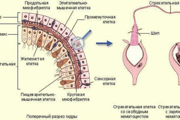 Bs med косметика официальный сайт