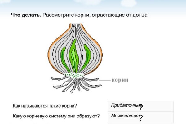 Ссылки на блекспрут