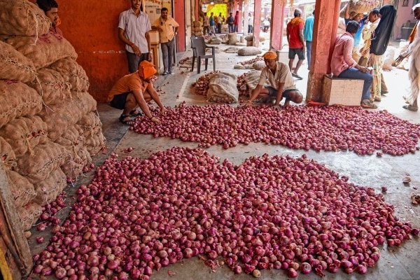 Black sprut market